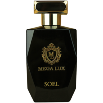 Soel Mega Lux 100 ML Erkek Parfüm
